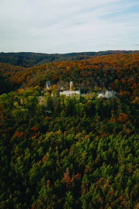 Dobrá Voda Castle in its forest setting