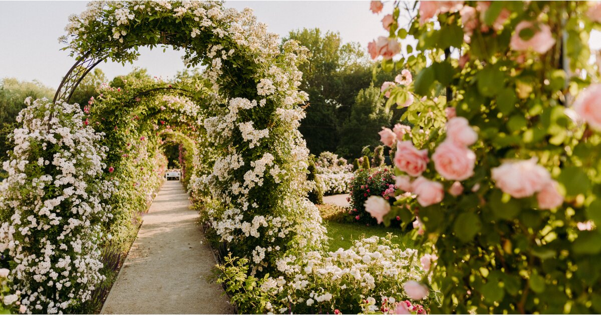 Dolná Krupá: gardens & noble stories