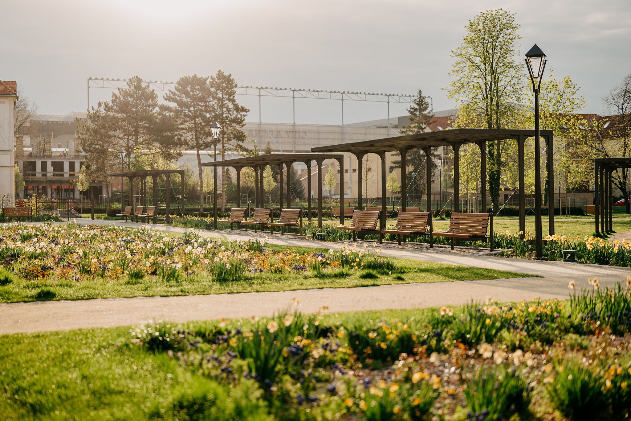 Ružový park, Trnava