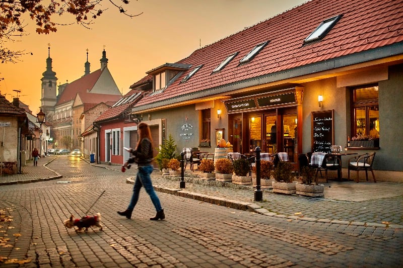 Patriot, Trnava