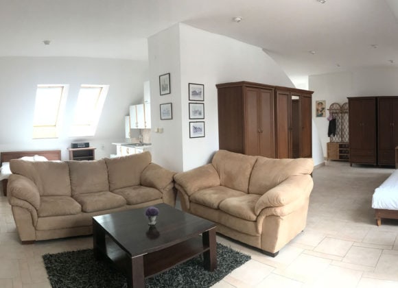 Hotel Phoenix — photograph from the official website