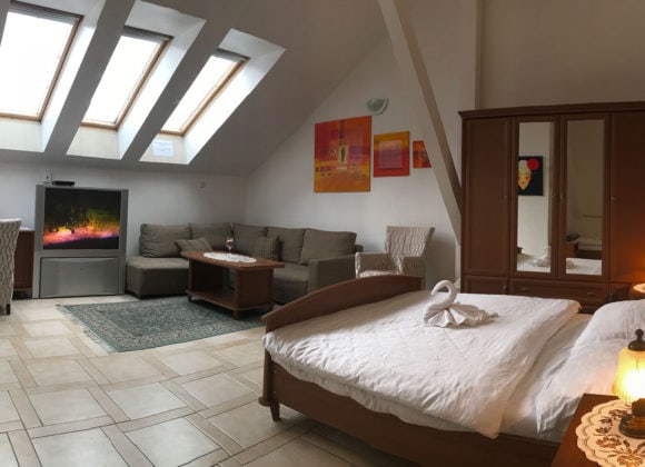 Hotel Phoenix — photograph from the official website